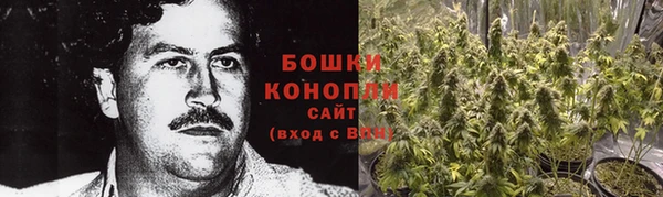 хмурый Нея