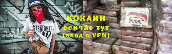 хмурый Нея