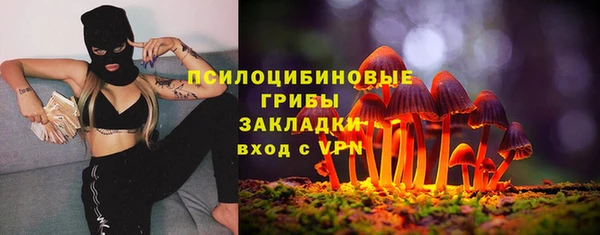 бошки Надым